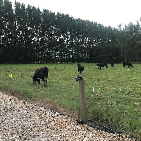 Hotel Brookside Country Escape 40 Minutes To Chc Airport Leeston Exterior foto